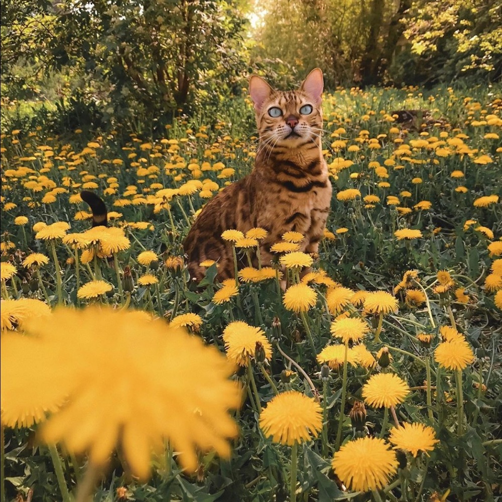 All offers considered!